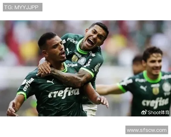 723累体育迎战帕尔梅全力争胜展现球队实力与决心 723累体育迎战帕尔梅全力争胜展现球队实力与决心